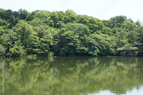 三宝寺池