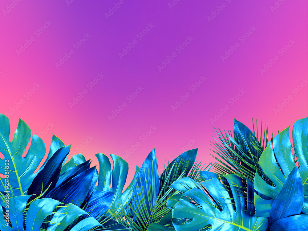 Trendy turquoise colored close up of various tropical leaves on bright pink and violet background - obrazy, fototapety, plakaty 