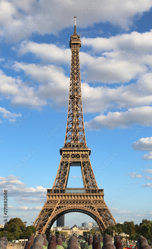 Fototapeta premium Eiffel Tower in France Paris