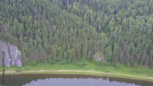 river forest landscape nature