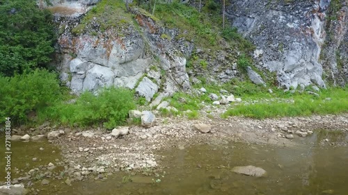 river forest landscape nature