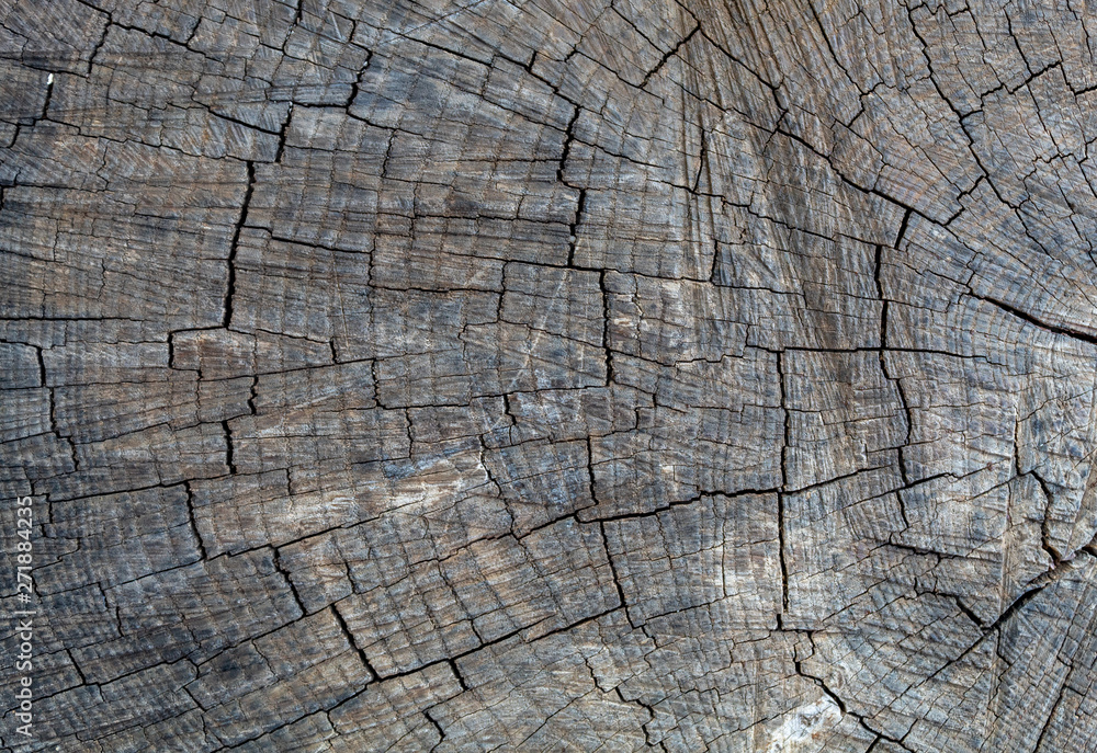 Fototapeta premium Szarawy Stary Wyblakły Pęknięty Tekstury Drewna