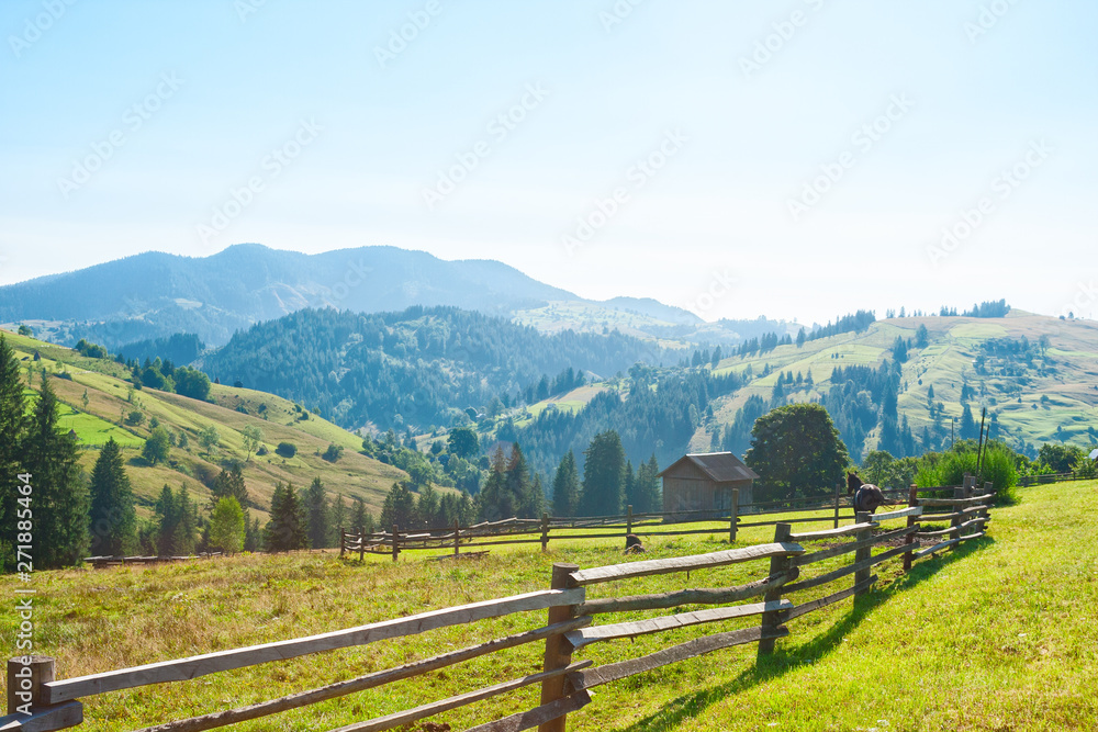 Rural landscape in Carpathian Mountains in the summer morning (near Verkhovyna), Ukraine.