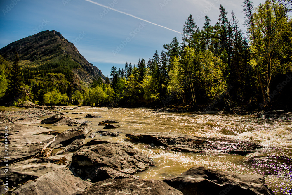 Beautiful Katun river in Altai in spring