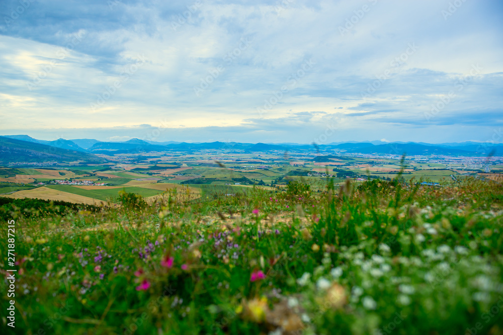 Spanish landscape with fields, sky and mountains, Navarra, Spain with flowers in the foreground. Beautiful landscape