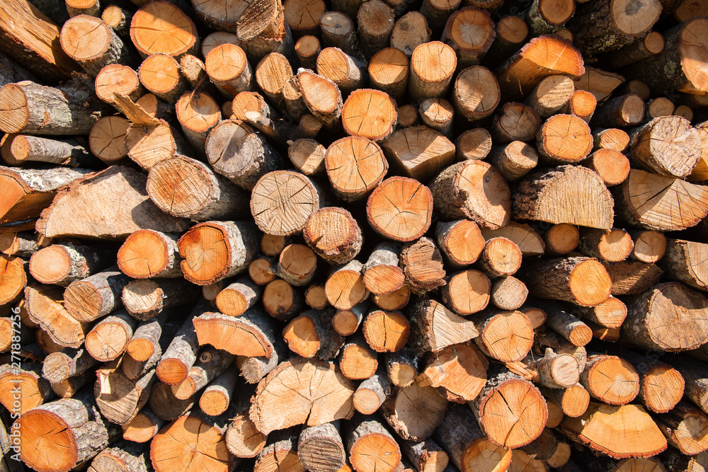 Fototapeta premium Lumber. Fire logs. Firewood natural background. Woodpile in sawmill.