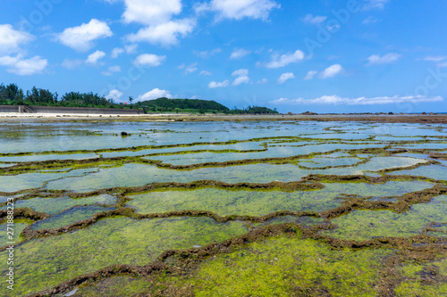 サンゴ礁の海 photo