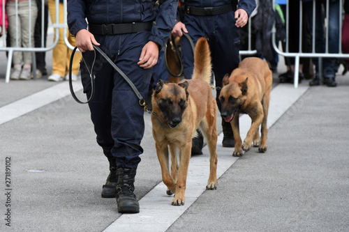 Schilderij op canvas chien gendarme
