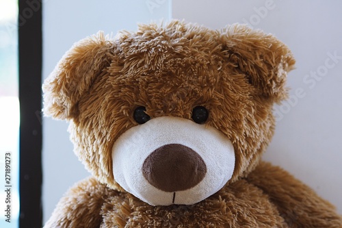 Teddy bear closeup