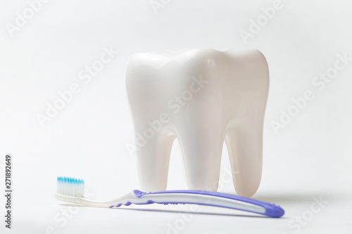 White tooth and colorful toothbrush on white background  dental care concept