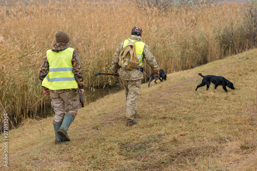 Hunters with a german drathaar and spaniel, pigeon hunting with dogs in reflective vests 