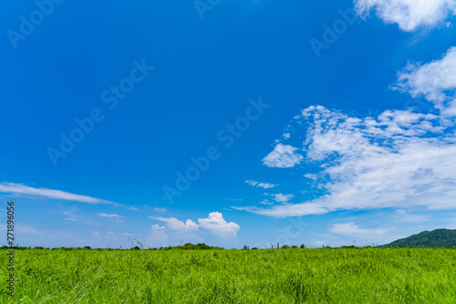 landscape of Ishigaki Island