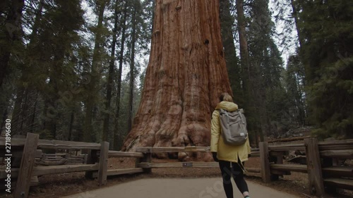 Caucasian female walking towards General Sherman - one of the biggest giant sequoias in the world, Sequoia National Park, USA. 4K UHD