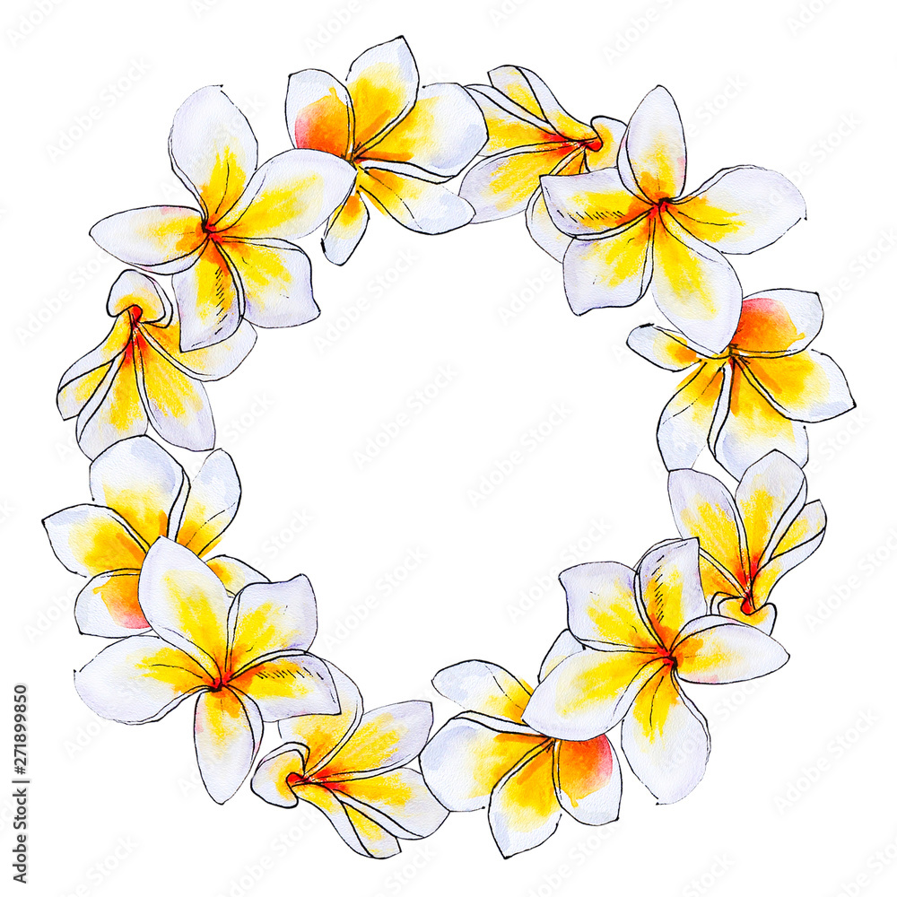 Obraz premium Beautiful white plumeria wreath. Frangipani. Watercolor painting. Exotic plant. Floral print. Sketch drawing. Botanical composition. Greeting card. Flower painted background. Hand drawn illustration.