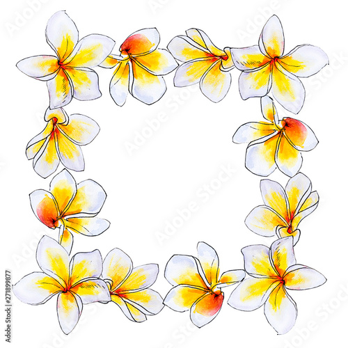 Beautiful white plumeria frame. Frangipani. Watercolor painting. Exotic plant. Floral print. Sketch drawing. Botanical composition. Greeting card. Flower painted background. Hand drawn illustration.