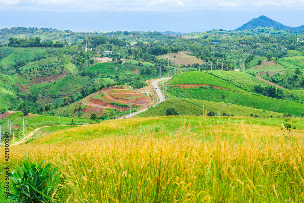 Fototapeta premium Hilly view with winding road. The location in Khao Kho District, Phetchabun, Thailand, Southeast Asia.