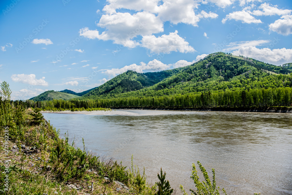 Katun river in spring, Altai