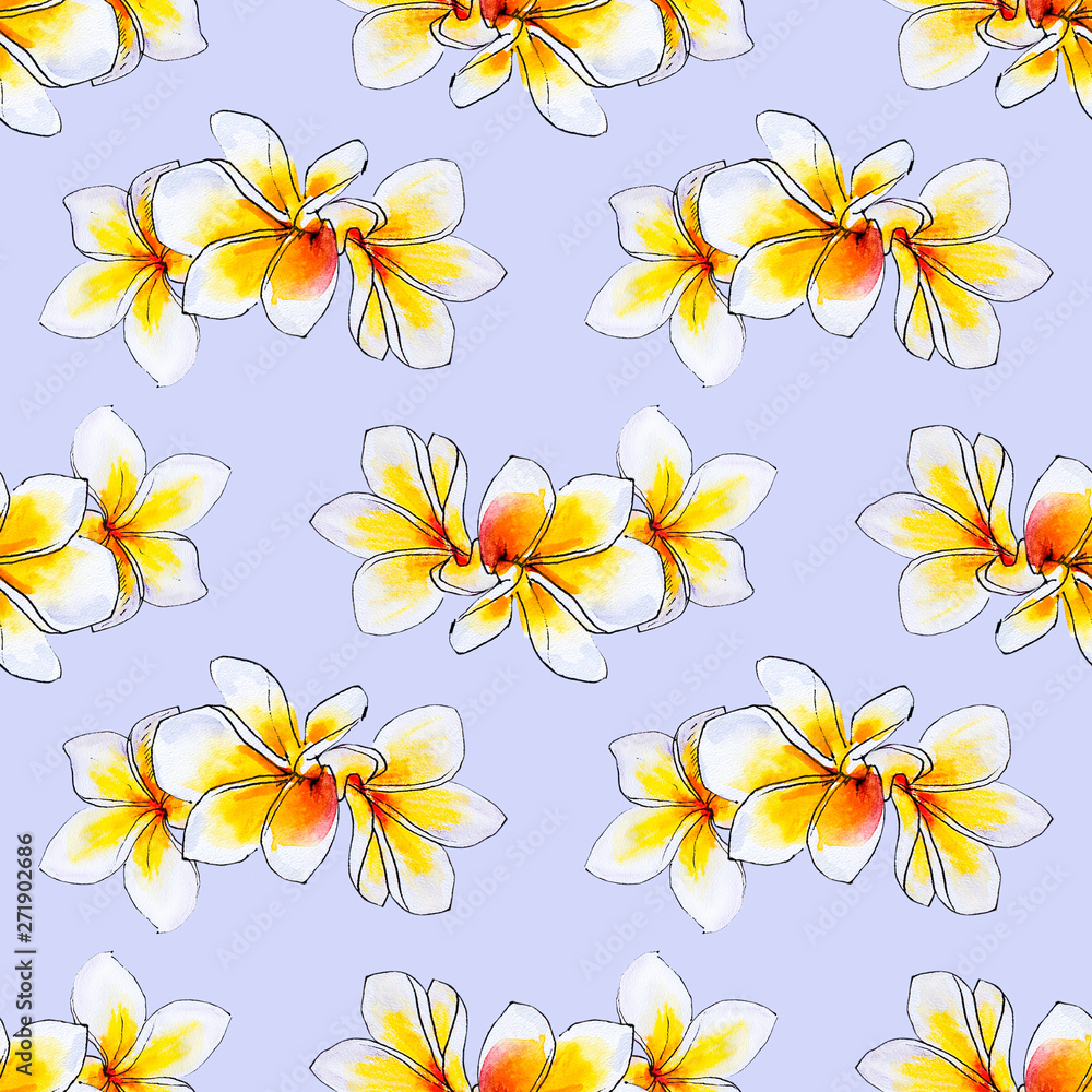 Obraz premium Seamless pattern from white plumeria flowers. Frangipani. Watercolor painting. Exotic plant. Floral print. Sketch drawing. Botanical composition. Flower painted background. Hand drawn illustration.