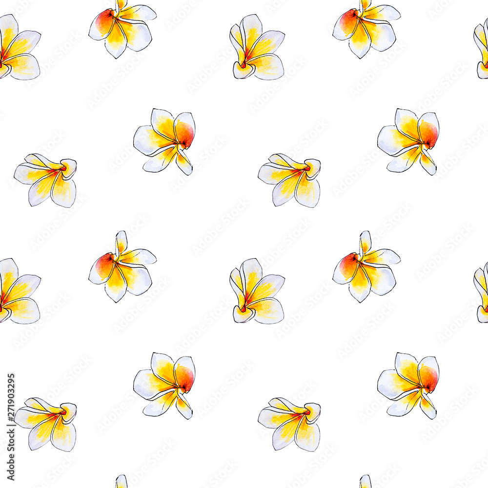 Obraz premium Seamless pattern from white plumeria flowers. Frangipani. Watercolor painting. Exotic plant. Floral print. Sketch drawing. Botanical composition. Flower painted background. Hand drawn illustration.