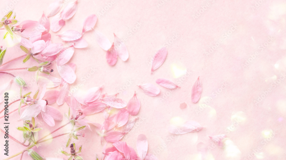 Blossom pink flowers on pink background, spring flowers. Soft light color.  Place for your design. 
