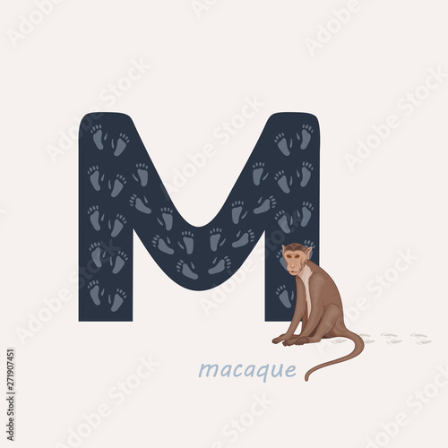 Vector illustration. Blue letter M with macaque's footprints, a cartoon macaque. Animal alphabet.