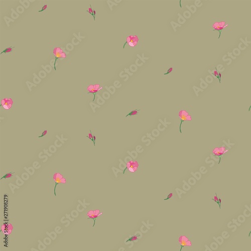  Blooming pink wild rose. Blooming wild rose branches. Botanical illustration. Buds of summer flowers.