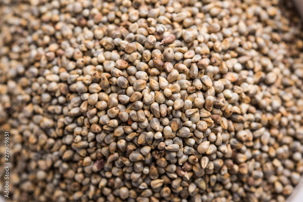 Pearl Millet or Bajra seeds also known as sorghum, in a bowl, selective focus Pearl Millet or Bajra seeds also known as sorghum, in a bowl, selective focus