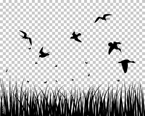 Meadow silhouette