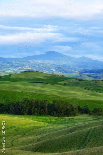 Morning golden Tuscany hills. Italy