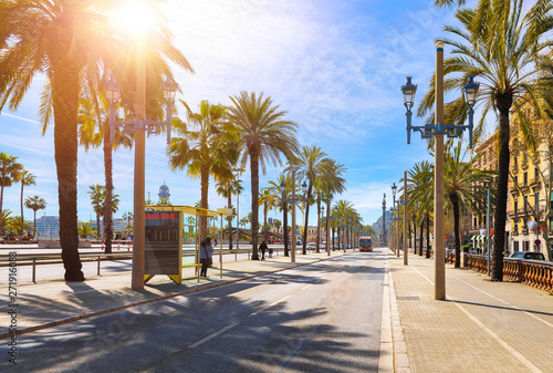 Barcelona, ​​Hiszpania. Droga dla transportu publicznego i aleja palm. Słoneczny letni dzień. Krajobraz ulicy miejskiej z dworca autobusowego.