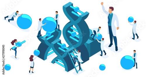 Isometric set of doctors and scientists studying the structure of DNA, scientists wear molecules, conduct experiments