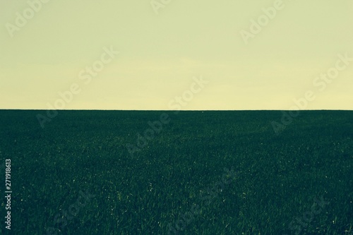 A beautiful large and green field extends to the horizon