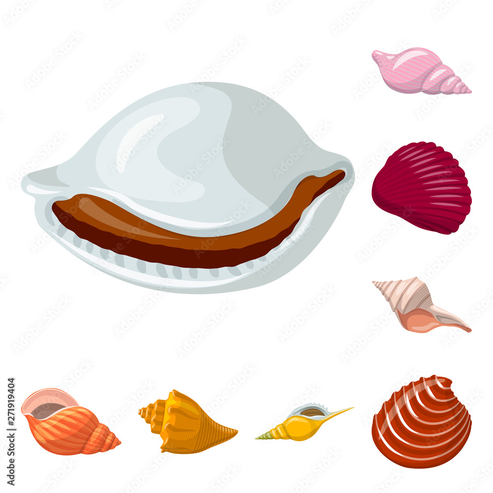Vector design of seashell and mollusk icon. Collection of seashell and seafood  stock symbol for web.