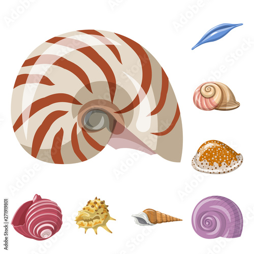 Vector illustration of seashell and mollusk logo. Set of seashell and seafood  stock symbol for web.