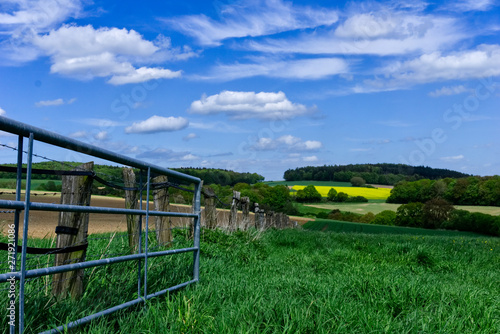 Meadow 2
