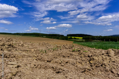 Field