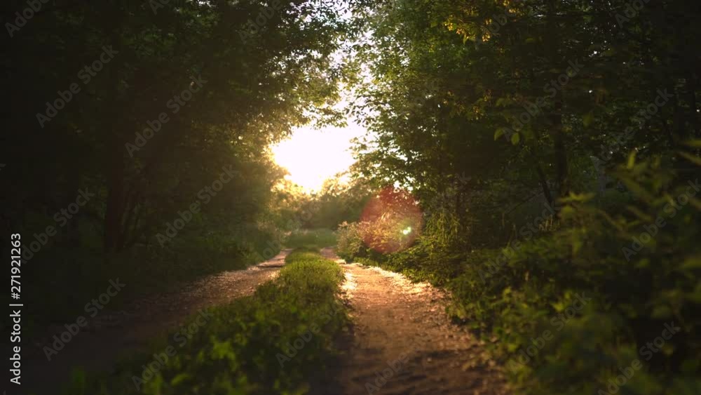 Sunset country off road with beautiful evening sun light rays, green leaf trees around - Nature is a great place to relax in the background Sunset country off road with beautiful evening sun light rays, green leaf trees around - Nature is a great place to relax in the background