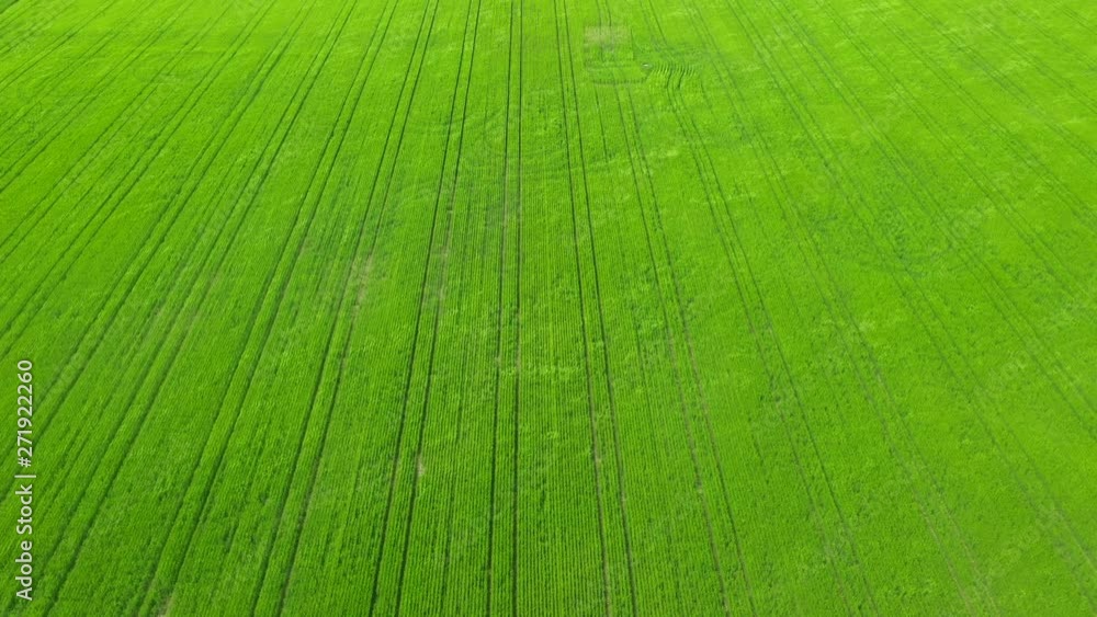 Aerial view of crop field in Sweden