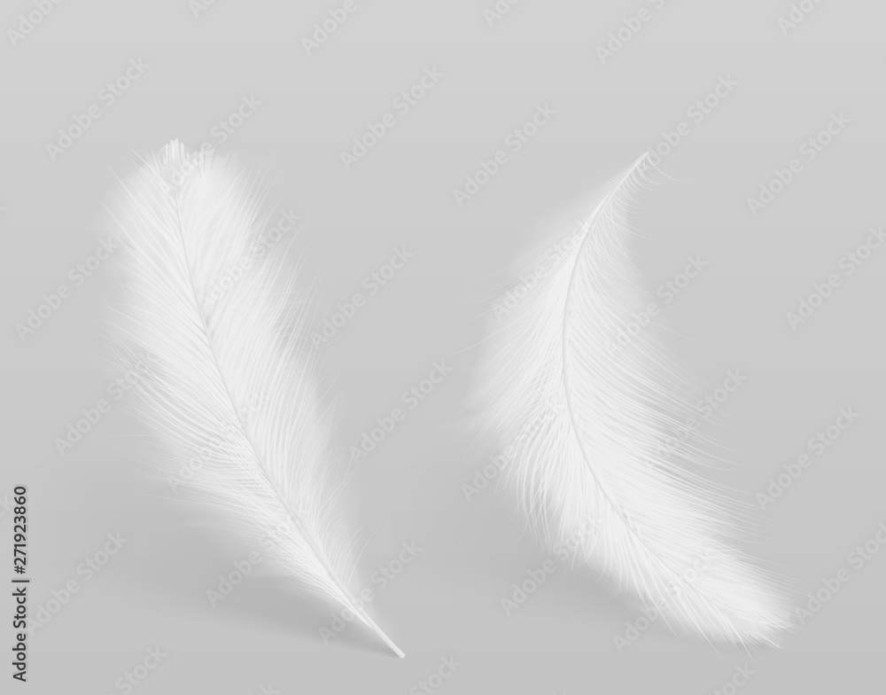 Lying, falling birds clean white, fluffy feathers 3d realistic vector isolated with shadow on grey background. Softness and grace, purity and tenderness concept design element. Lightweight symbol Lying, falling birds clean white, fluffy feathers 3d realistic vector isolated with shadow on grey background. Softness and grace, purity and tenderness concept design element. Lightweight symbol
