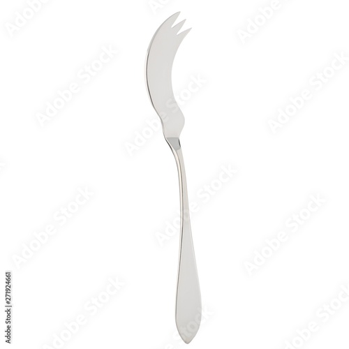 Obraz w ramie fish fork