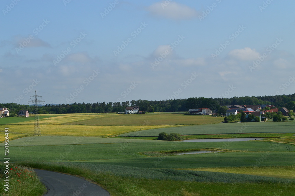 Anfang Sommer. Mohnblumen auf den Kornfeldern Anfang Sommer. Mohnblumen auf den Kornfeldern