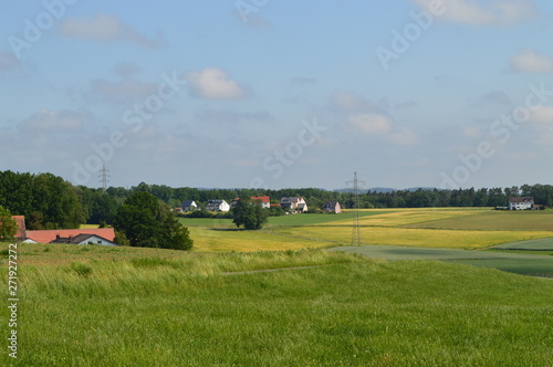 Anfang Sommer. Mohnblumen auf den Kornfeldern