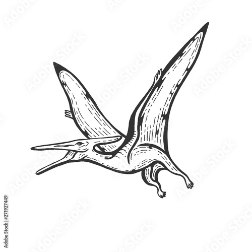 pterodactyl dinosaur sketch engraving vector illustration. Scratch board style imitation. Hand drawn image.