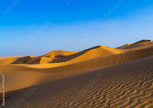 Sand dune sin rub al khali desert, Dhofar Governorate, Rub al Khali, Oman photo