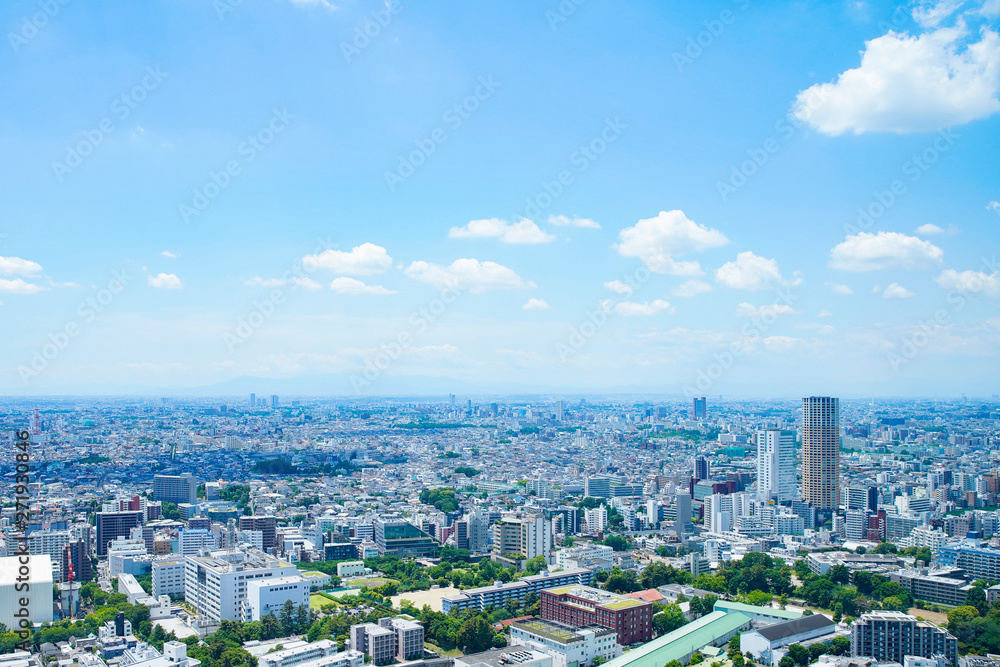 Fototapeta premium Downtown Tokyo (Nakameguro znajduje się po prawej stronie ekranu)