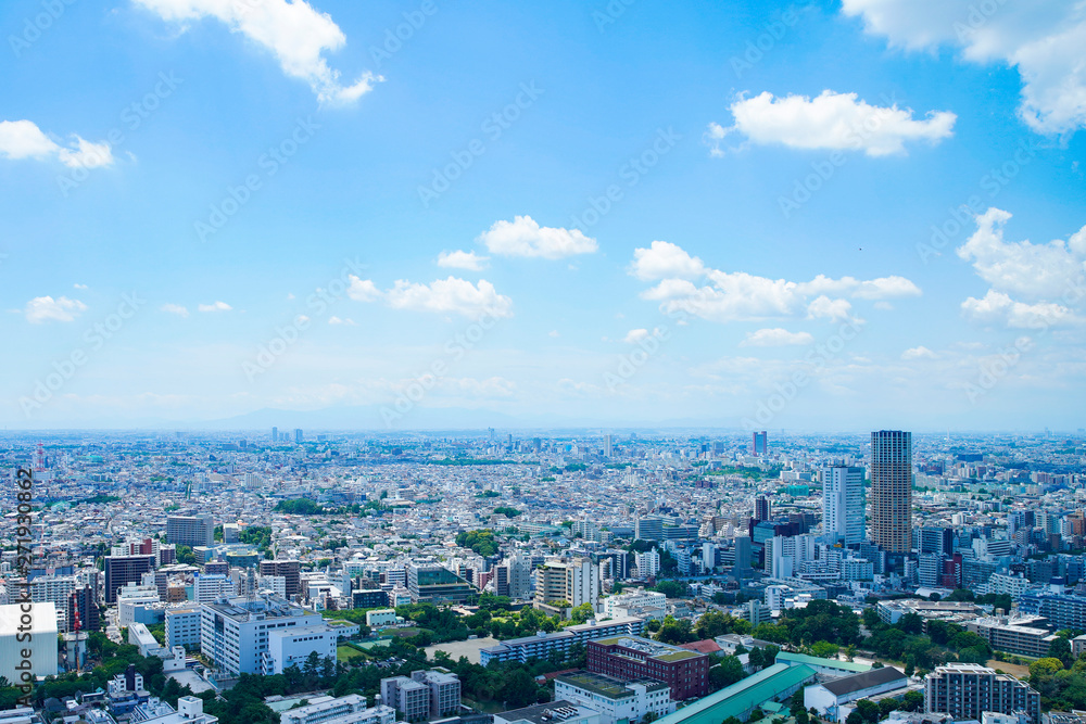 東京市街地（画面右は中目黒）