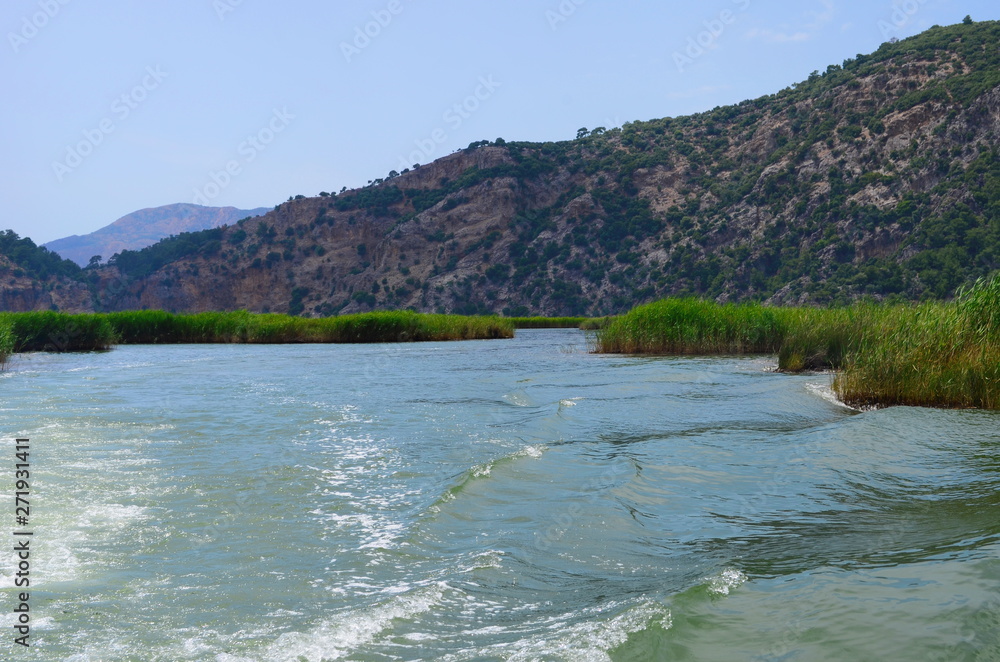 Dalyan River where the Caretta-Caretta turtles live Dalyan River where the Caretta-Caretta turtles live
