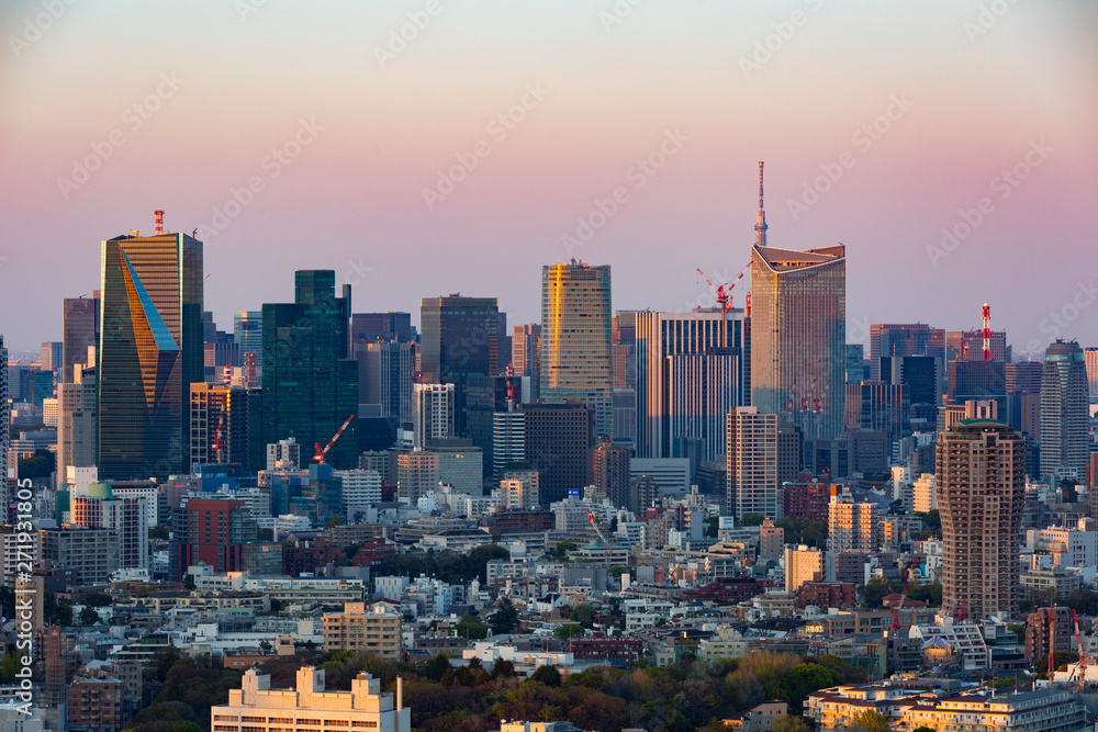 Obraz premium 六本木・虎ノ門周辺の夕景