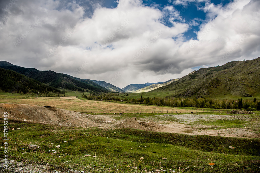 Fototapeta premium Beautiful spring landscape in Altai 