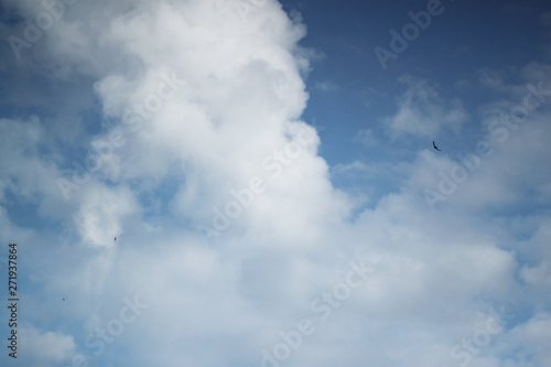 Abstract background with white clouds